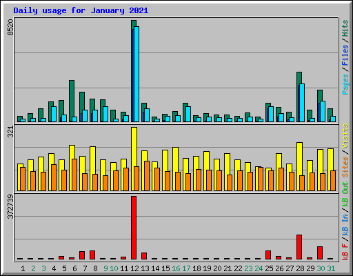 Daily usage for January 2021