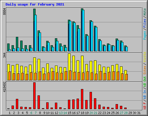 Daily usage for February 2021