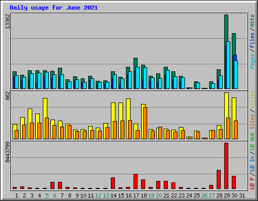 Daily usage for June 2021