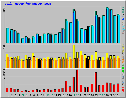 Daily usage for August 2023