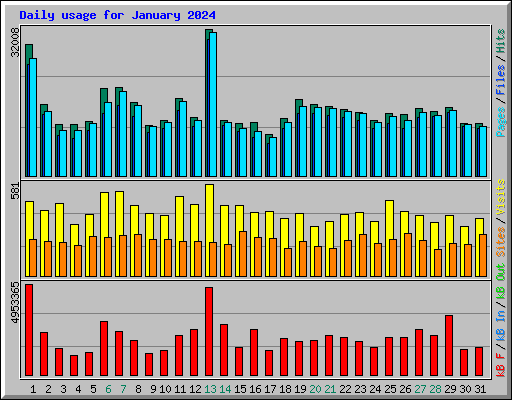 Daily usage for January 2024