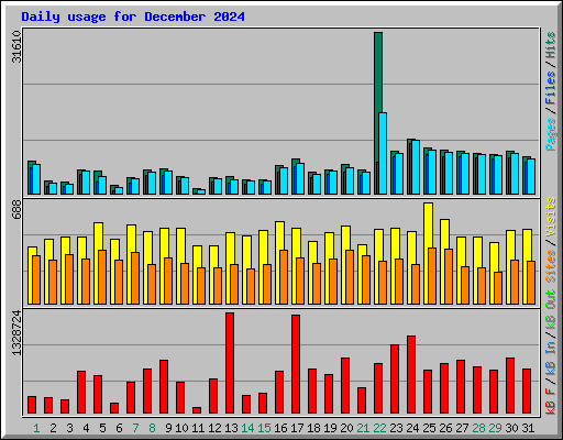 Daily usage for December 2024