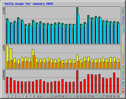 Daily usage for January 2025