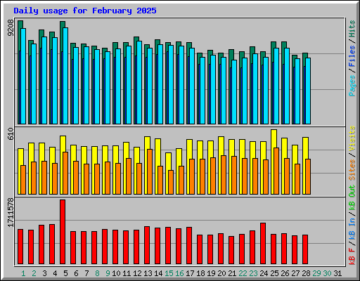 Daily usage for February 2025