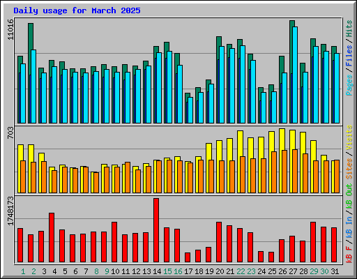 Daily usage for March 2025
