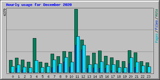 Hourly usage for December 2020