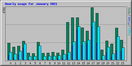 Hourly usage for January 2021