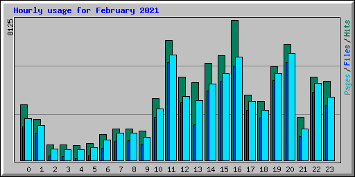 Hourly usage for February 2021