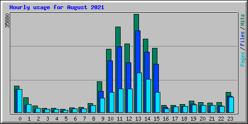 Hourly usage for August 2021