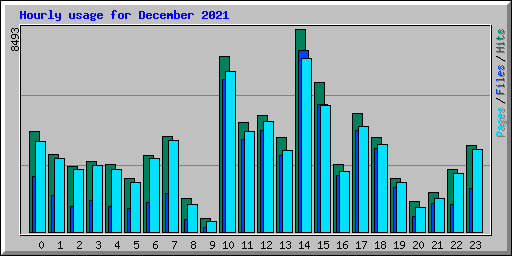 Hourly usage for December 2021