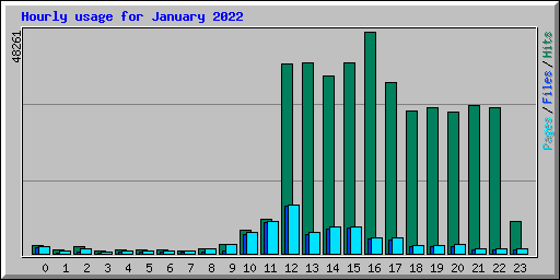 Hourly usage for January 2022