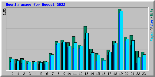 Hourly usage for August 2022