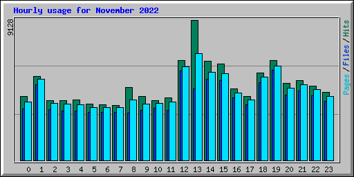 Hourly usage for November 2022