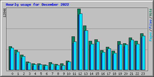 Hourly usage for December 2022
