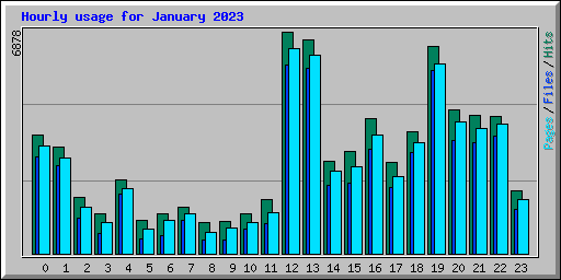 Hourly usage for January 2023