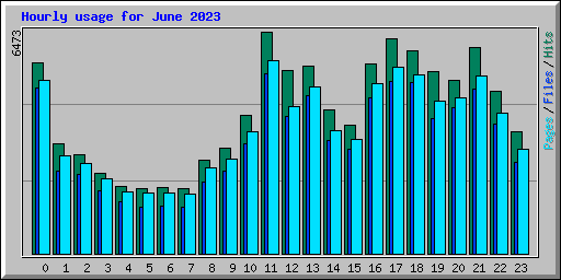 Hourly usage for June 2023