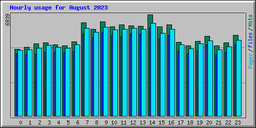 Hourly usage for August 2023