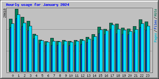 Hourly usage for January 2024
