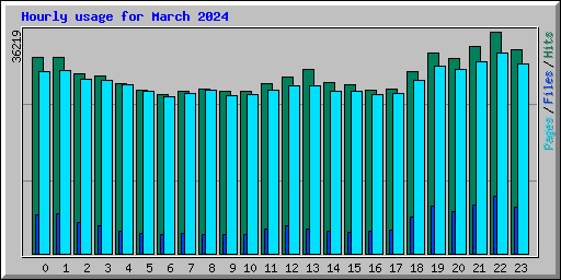 Hourly usage for March 2024