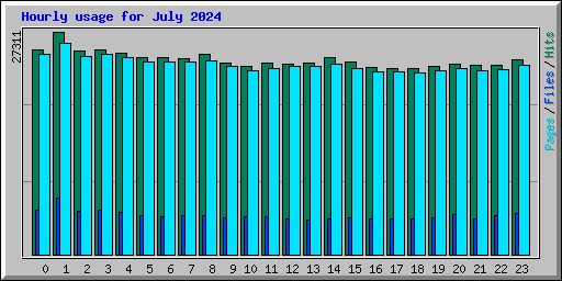 Hourly usage for July 2024
