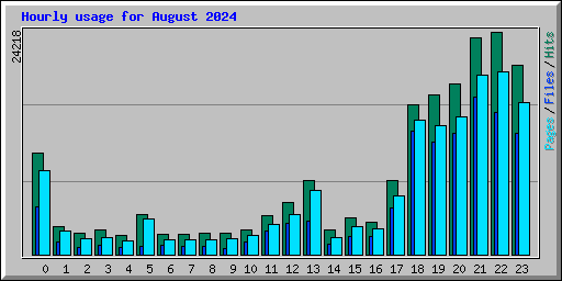 Hourly usage for August 2024