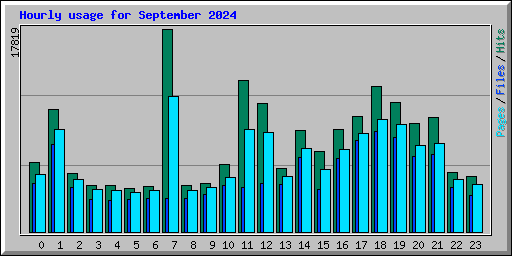 Hourly usage for September 2024