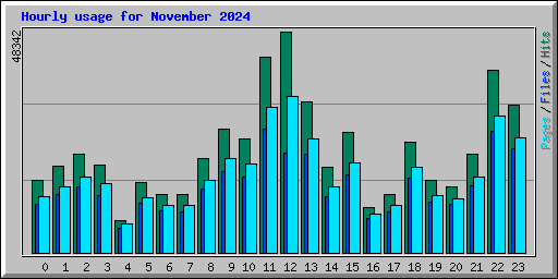 Hourly usage for November 2024