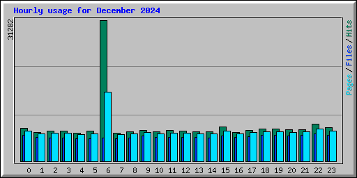 Hourly usage for December 2024