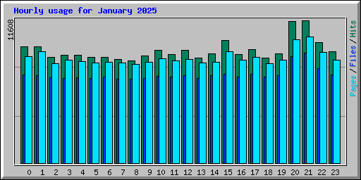 Hourly usage for January 2025