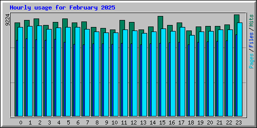 Hourly usage for February 2025