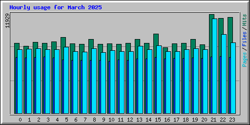 Hourly usage for March 2025