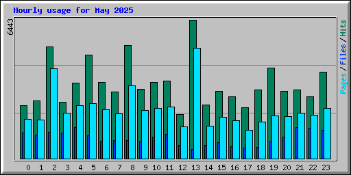 Hourly usage for May 2025
