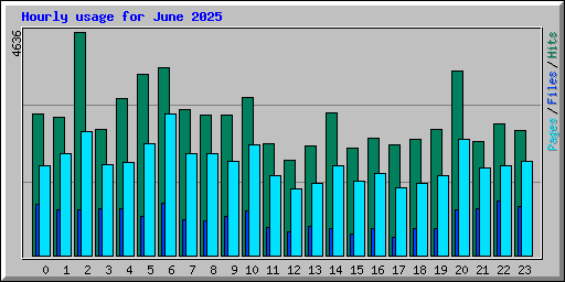 Hourly usage for June 2025