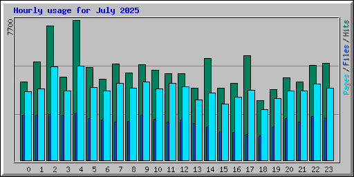 Hourly usage for July 2025